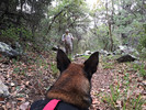 photo thumbnail #11