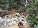 photo thumbnail #12