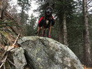 photo thumbnail #15