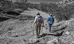 photo thumbnail #6
