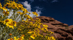 photo thumbnail #2