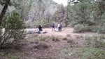 photo thumbnail #10