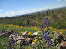 photo thumbnail #6