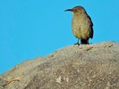 photo thumbnail #13