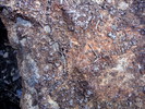 photo thumbnail #15