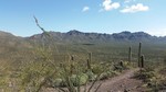 photo thumbnail #7