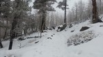 photo thumbnail #1
