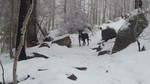 photo thumbnail #2