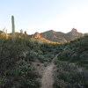 photo thumbnail #2