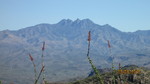 photo thumbnail #14