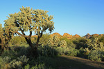 photo thumbnail #2