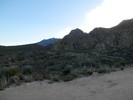 photo thumbnail #1