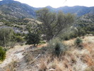 photo thumbnail #14