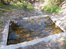 Featured Detail Photo