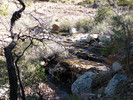 photo thumbnail #8
