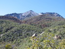photo thumbnail #2