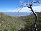 photo thumbnail #9