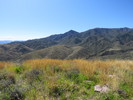 photo thumbnail #6