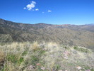 photo thumbnail #9