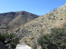 photo thumbnail #11