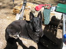 photo thumbnail #7