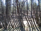 photo thumbnail #11