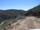 photo thumbnail #15