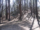 photo thumbnail #4