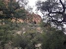photo thumbnail #11
