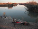 photo thumbnail #6