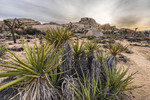 photo thumbnail #14