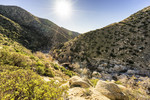 photo thumbnail #13