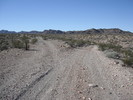 photo thumbnail #1