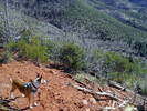 photo thumbnail #1