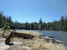 photo thumbnail #5