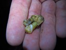 photo thumbnail #15