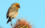 photo thumbnail #3