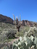 photo thumbnail #3