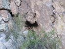 photo thumbnail #3
