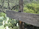 photo thumbnail #4