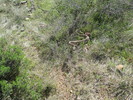 photo thumbnail #6