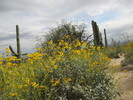 photo thumbnail #4