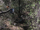 photo thumbnail #5