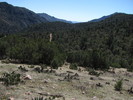 photo thumbnail #11