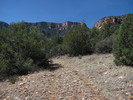 photo thumbnail #12