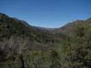 photo thumbnail #15