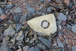 photo thumbnail #13