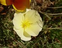 photo thumbnail #4