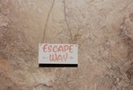 photo thumbnail #13