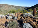 photo thumbnail #6